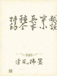 特种兵穿越亮剑的全本小说