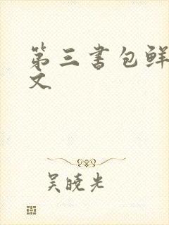 第三书包鲜网辣文