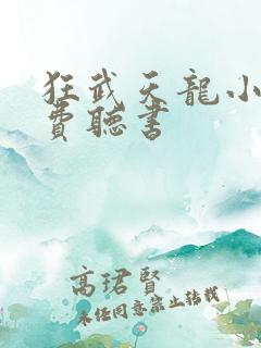 狂武天龙小说免费听书