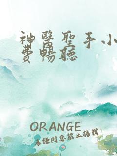 神医圣手小说免费畅听