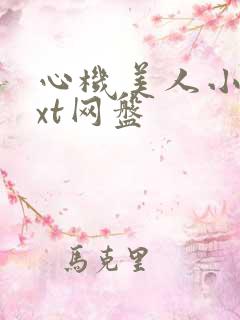 心机美人小说txt网盘