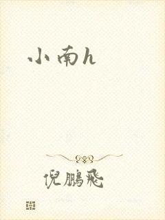 小南h