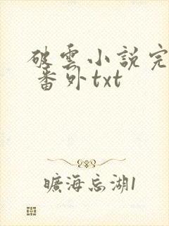 破云小说完整版 番外txt
