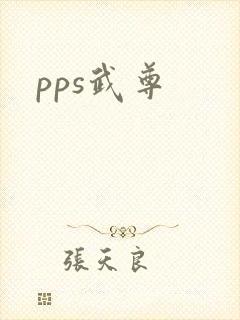 pps武尊
