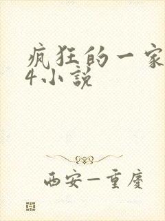 疯狂的一家PS4小说