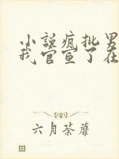 小说疯批男主与我官宣了在线阅读