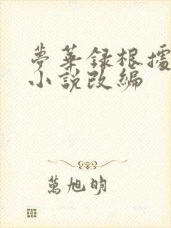 梦华录根据什么小说改编