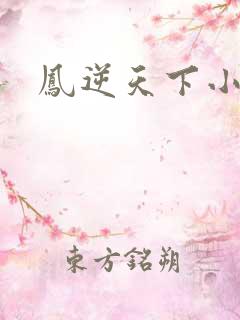 凤逆天下小说