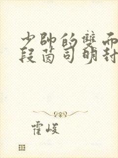 少帅的双面宠妻段茵司明封免费