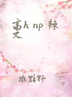 高h np 辣文