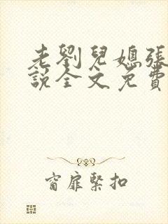 老刘儿媳张岚小说全文免费阅读