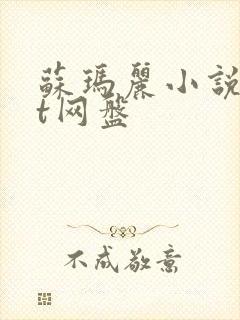 苏玛丽小说txt网盘