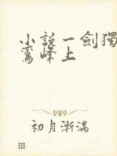 小说一剑独尊青鸾峰上