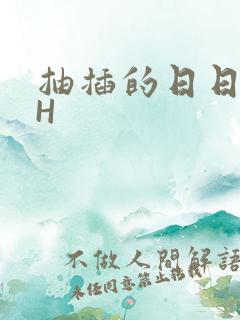 抽插的日日液液H
