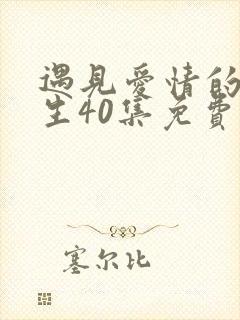 遇见爱情的利先生40集免费播放