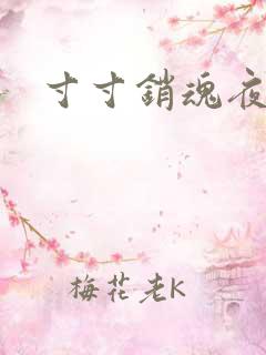 寸寸销魂夜春光