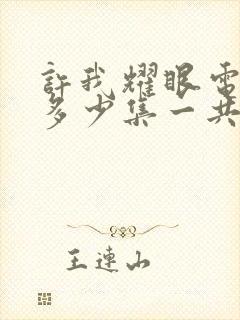 许我耀眼电视剧多少集一共