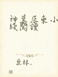 神墓辰东小说在线阅读