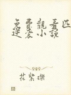 免费观看匹夫的逆袭小说