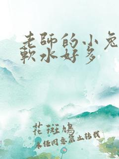 老师的小兔子好软水好多