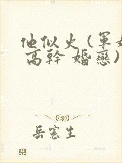 他似火 (军婚 高干 婚恋)