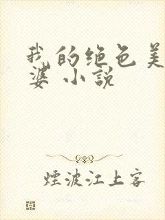 我的绝色美女老婆 小说