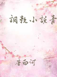 调教小说青楼