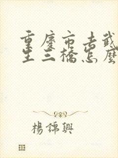 重庆市去武隆天生三桥怎么走