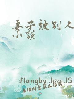 妻子被别人调教小说