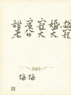 甜蜜宠婚,总裁老公天天宠