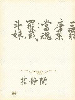 斗罗:当唐三妹妹,武魂叶罗丽的小说