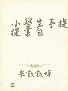 小学生手提包手提书包