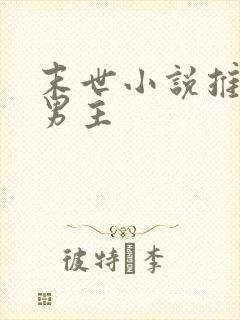 末世小说推荐双男主