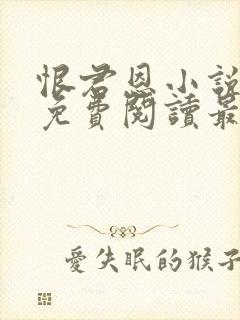 恨君恩小说全文免费阅读最新章节