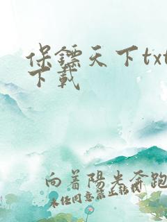 保镖天下txt下载