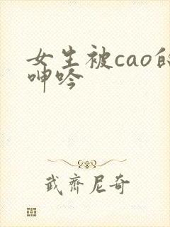 女生被cao的呻吟