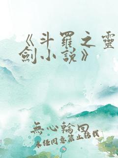 《斗罗之灵珠神剑小说》