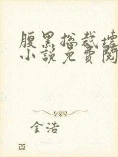 腹黑总裁坏坏爱小说免费阅读