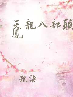 天龙八部颠龙鸾凤