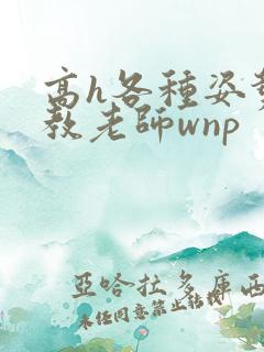 高h各种姿势调教老师wnp