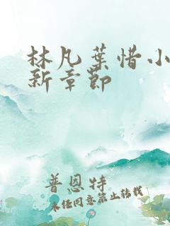 林凡叶惜小说最新章节