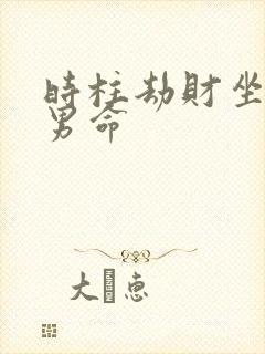 时柱劫财坐伤官男命