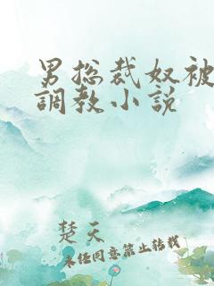 男总裁奴被绳绑调教小说