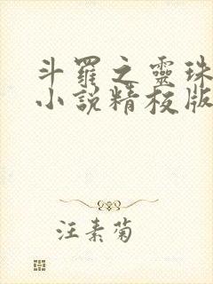 斗罗之灵珠神剑小说精校版阅读