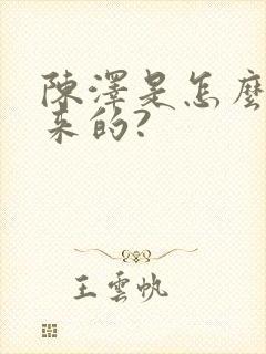 陈泽是怎么火起来的?