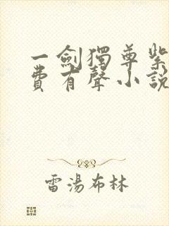 一剑独尊紫襟免费有声小说