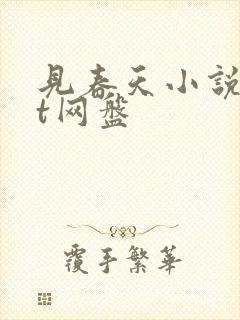 见春天小说txt网盘