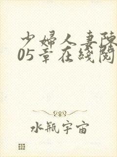 少妇人妻陈艳105章在线阅读