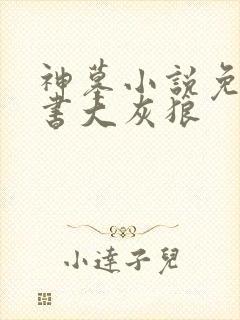 神墓小说免费听书大灰狼