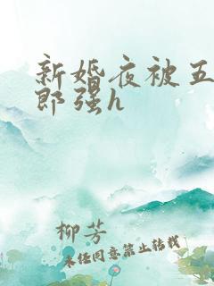 新婚夜被五个伴郎强h